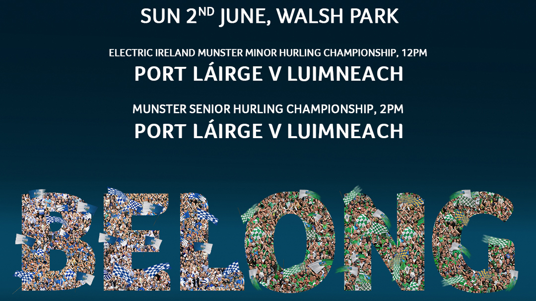 2019 Munster Senior Hurling Championship – Limerick 2-24 Waterford 0-10