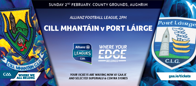 2020 Allianz Football League Division 4 – Wicklow 2-11 Waterford 1-6